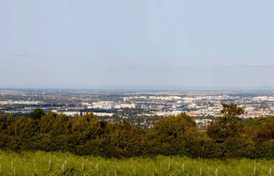EIn Blick auf Wien