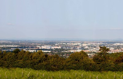 EIn Blick auf Wien