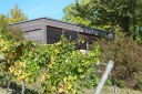  Versteckt.Wein.Hetschal..jpg 