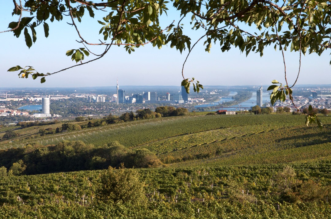 Wunderbare Aussicht - Martina Konrad_Murphy.jpg