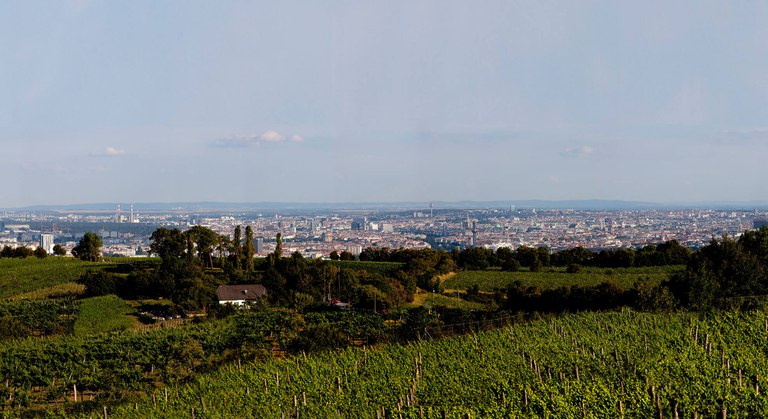 Kahlenberg